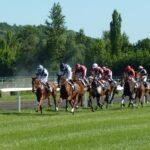 Courses hippiques : deux méthodes pour gagner le quinté de demain